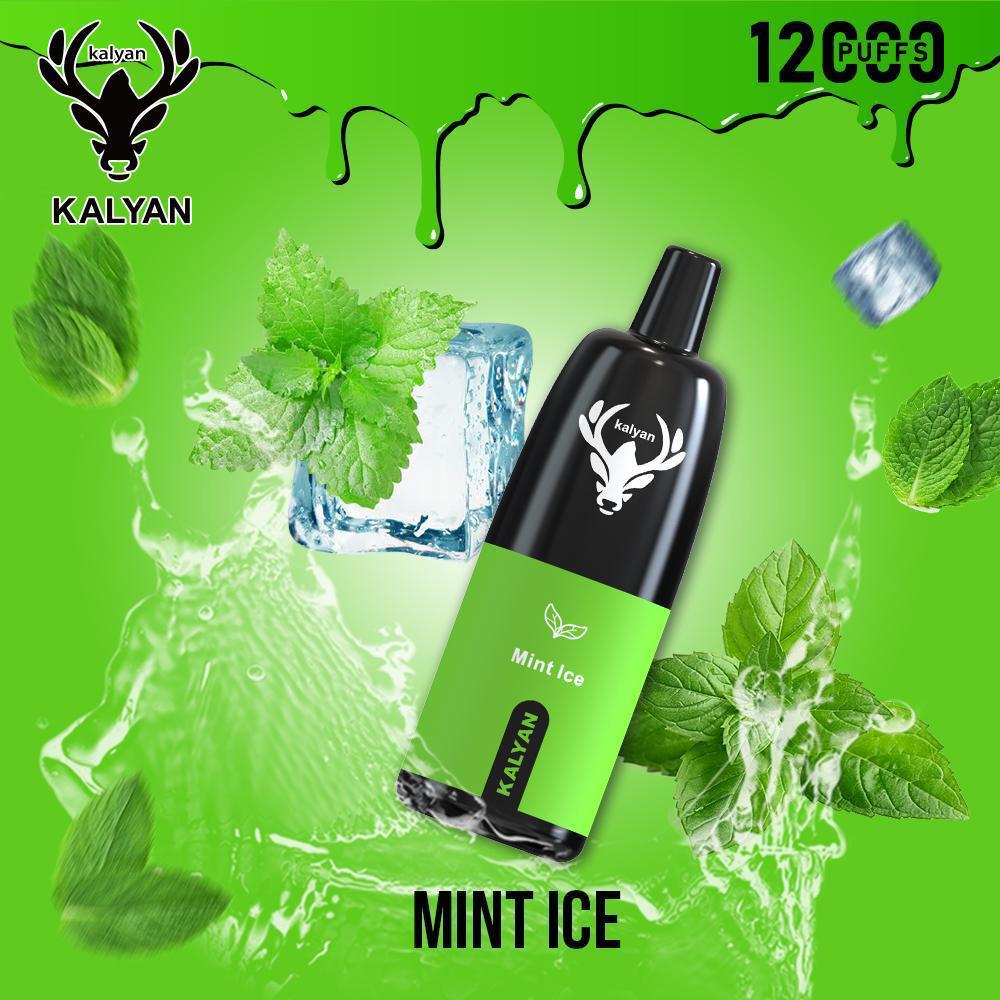 Mint Ice| Kalyan 12000Puffs