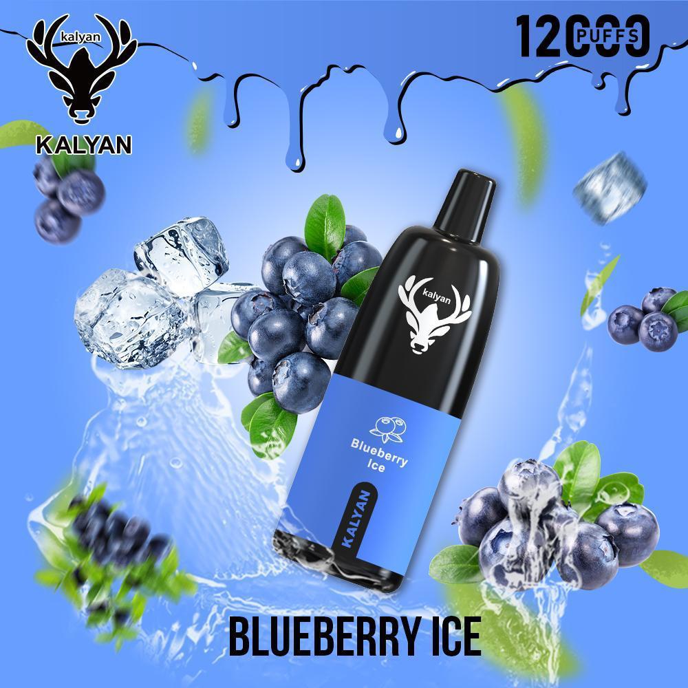 Blueberry Ice| Kalyan 12000Puffs